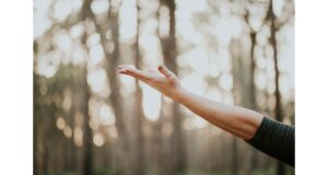 Massage in a Chiropractic Treatment Plan after a Car Accident