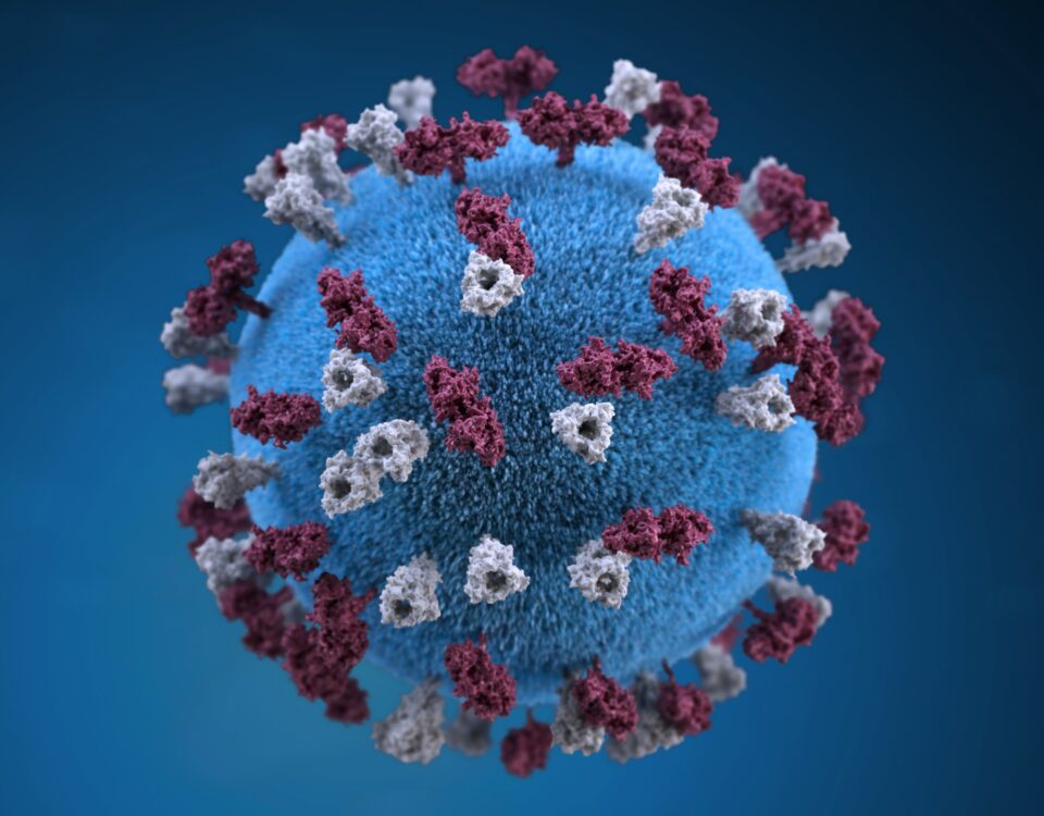 Covid-19 Coronavirus