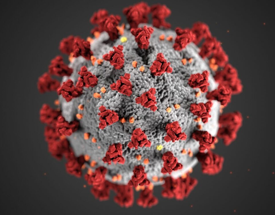 The Covid-19 Virus can manifest as "Long Covid"