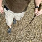 Walking stick proper hike opposite the indicated foot/leg assist chriropractic knee