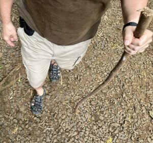 Walking stick proper hike opposite the indicated foot/leg assist chriropractic knee